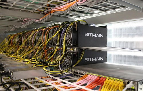 Expansive cryptocurrency mining farm housing rows of ASIC miners
