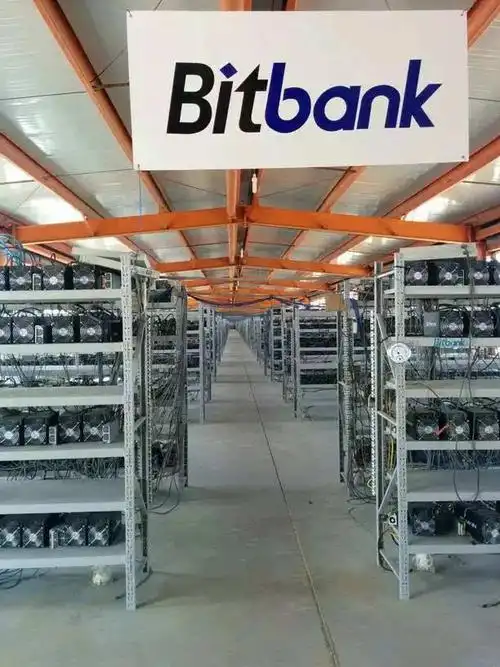 A vast mining farm filled with rows of hosted mining machines, illustrating the scale and efficiency of professional crypto operations