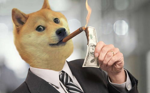 Dogecoin mining rig in operation