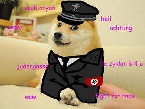 Merged mining setup for Dogecoin and Litecoin in hosted mining farm